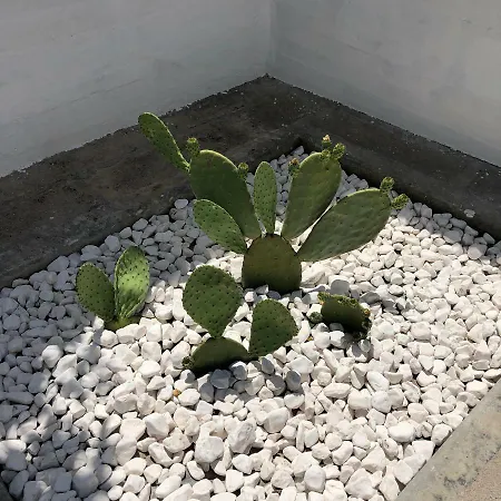 Salento Sunset House Pulsano